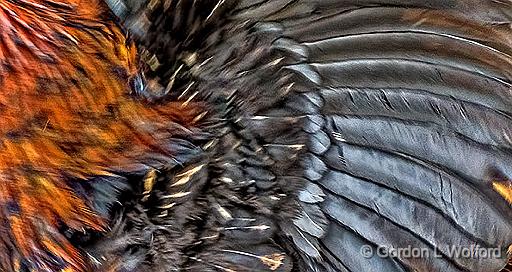 Abstract_DSCF5334.jpg - Photographed near Perth, Ontario, Canada.