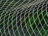 Abstract_DSCF05078