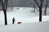 Snowscape_12736