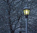 Parklamp_23382