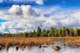 Marsh_30491