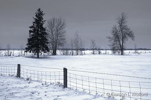 Snowscape_12557.jpg - Photographed at Ottawa, Ontario - the capital of Canada.
