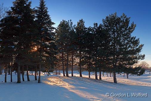 Snowscape_12667.jpg - Photographed at Ottawa, Ontario - the capital of Canada.