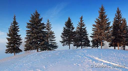 Snowscape_12712-3.jpg - Photographed at Ottawa, Ontario - the capital of Canada.