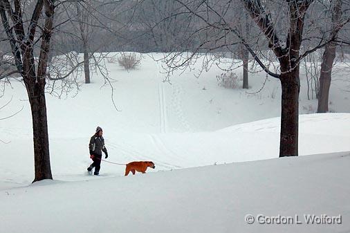 Snowscape_12736.jpg - Photographed at Ottawa, Ontario - the capital of Canada.