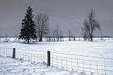 Snowscape_12557