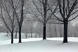 Snowscape_12734