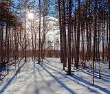 Snowscape_13852-3