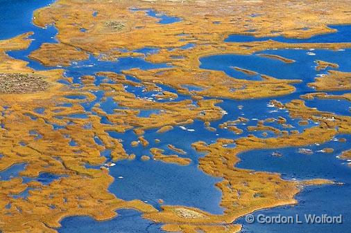 Wetlands_29764.jpg - Photographed along the Gulf coast near Port Lavaca, Texas, USA.