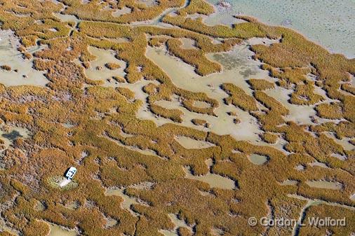 Wetlands_29802.jpg - Photographed along the Gulf coast near Port Lavaca, Texas, USA.