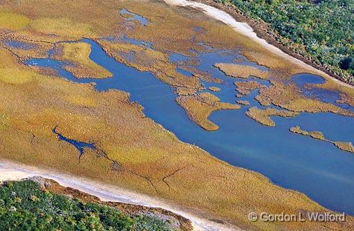 Wetlands_29828.jpg - Photographed along the Gulf coast near Port Lavaca, Texas, USA.