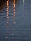 Reflections_28361