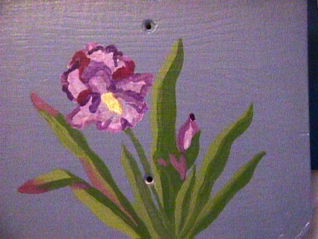 Iris_Shelf